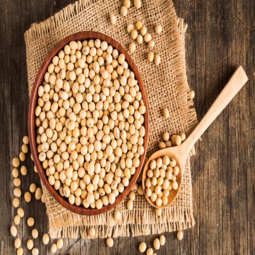 Urad